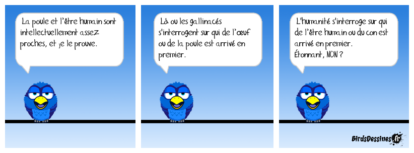 les 3 bulles nécessaires de m. cyclopède