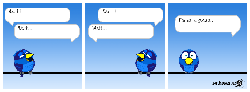 écho watt : le bug...