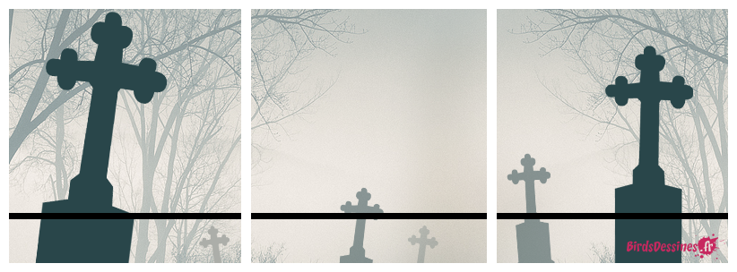 L'ukraine vue par Poutine ou la France vue par Macron  ?