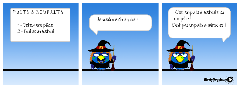 Le puits à souhait N° 5