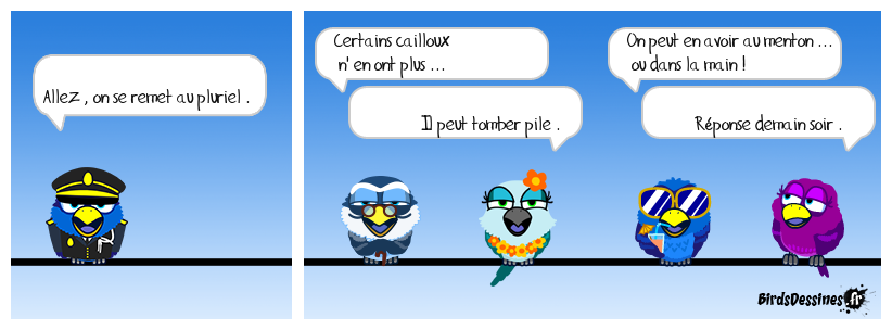 verb'anatomie N° 70