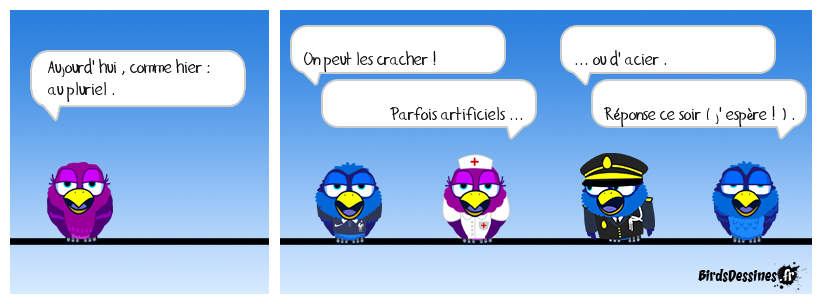 verb'anatomie N° 71