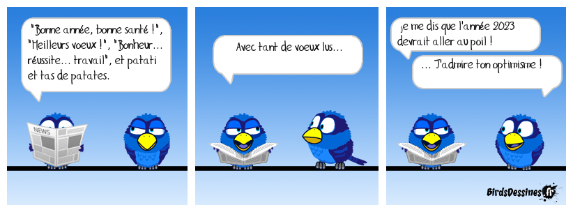 Essayons de ne pas bâtir un an pire !...