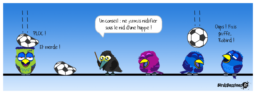 L'oiseau sale