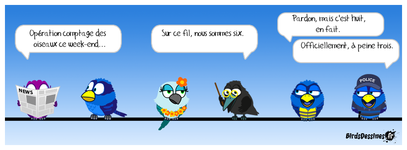 Les oiseaux noirs, ça compte ou pas ? 28 et 29 janvier, comptage des Birds