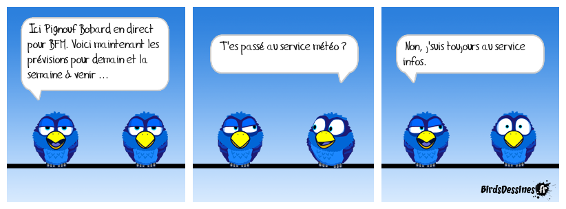 bfm : madame irma ...