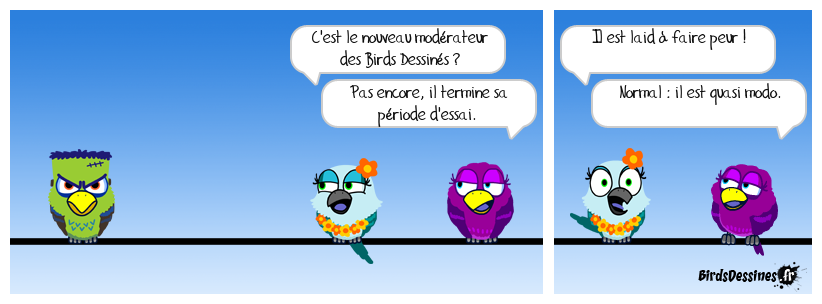 M'enfin, ils sont canons les modos des Birds ! C'est quoi ce délire ? Le petit nouveau