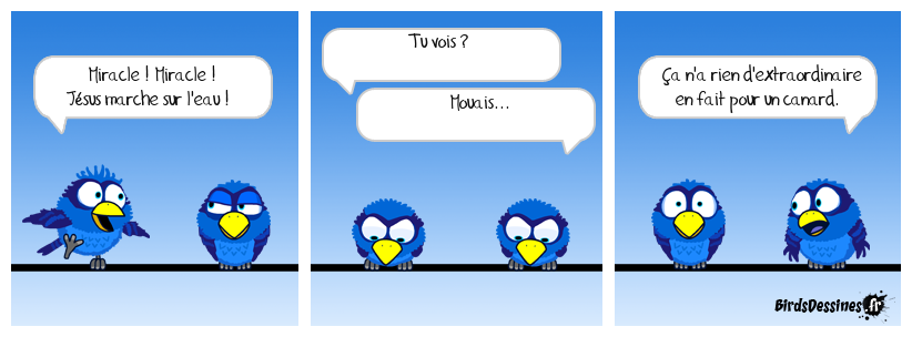 Ça m'en bouche un coin coin. La Bible racontée aux Birds 6