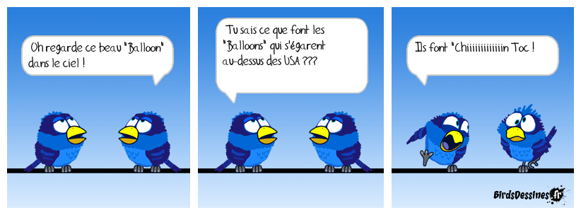 « Big Brother is watching you »