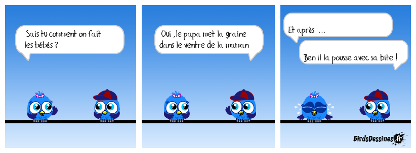 Comment on fait les bébés ?