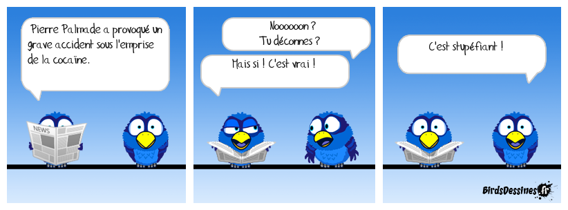 On va encore dire que les Birds tirent à la ligne avec ces blagues répétées sur Palmade