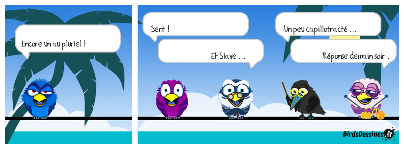 verb'anatomie N° 108