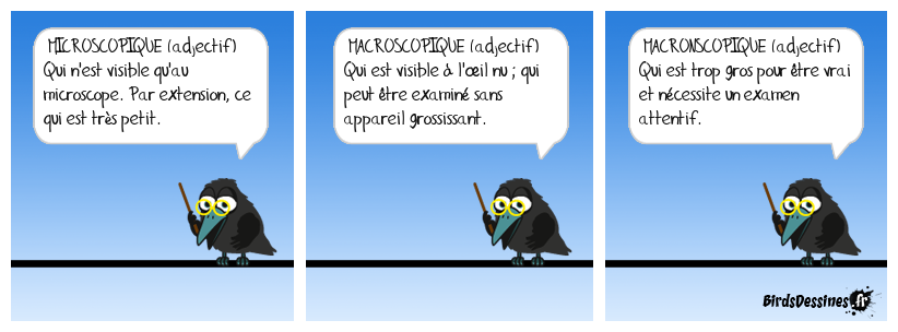 Birdictionnaire