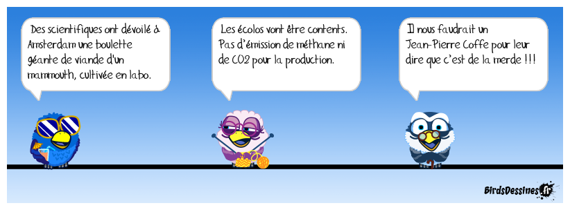 Une grosse boulette !