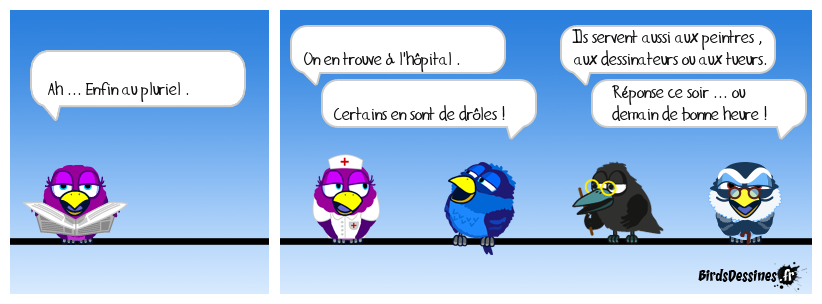 verbi jardin travaux bricolage 28