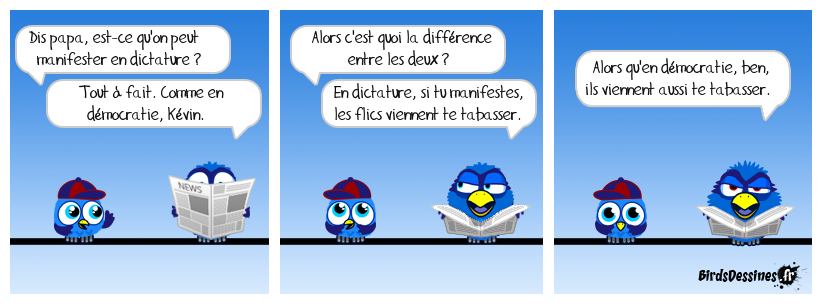 La vrai différence, quand les flics tabassent les manifestants, c'est que la dictature prétend être une démocratie, alors que la démocratie nie être une dictature Systèmes comparés
