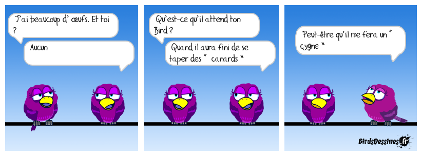 Ce serait chouette, non