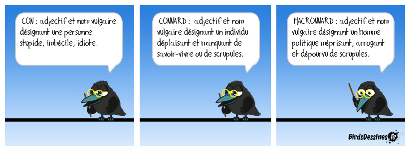 BIRDICTIONNAIRE - 2 - 🤬