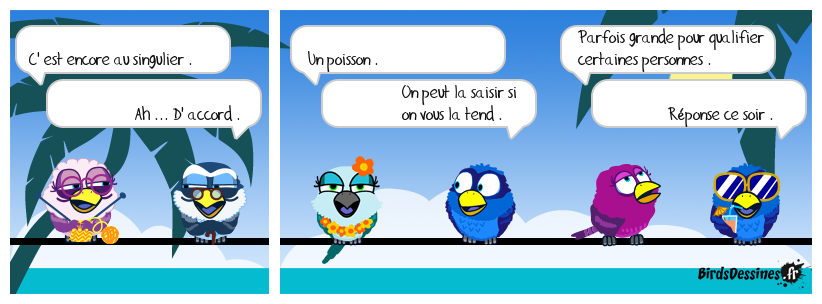 verbi jardin travaux bricolage 33