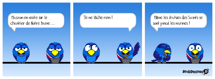 Au pif, il n'a plus de flair ... encore une victime du con vide ?