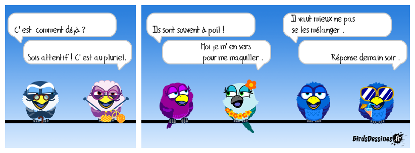 verbi jardin travaux bricolage 36