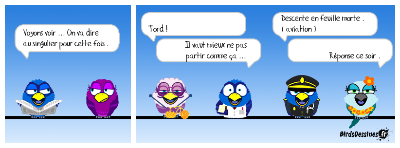 verbi jardin travaux bricolage 37