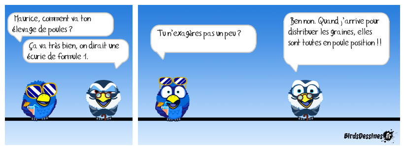 Poules de compète !