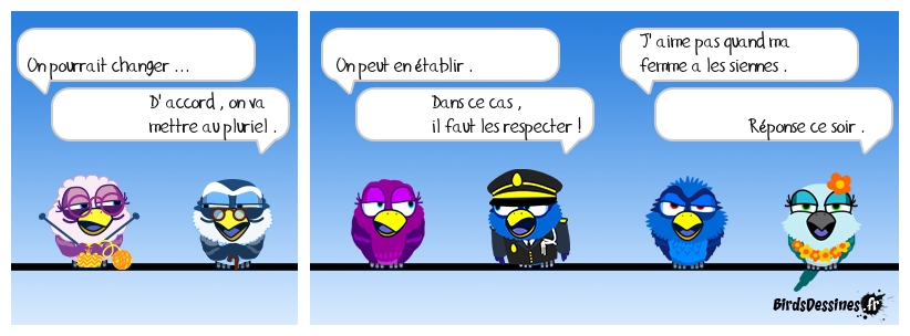 verbi jardin travaux bricolage 38