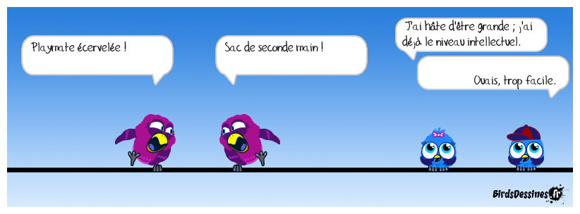 Schiappa en s'arrangeant