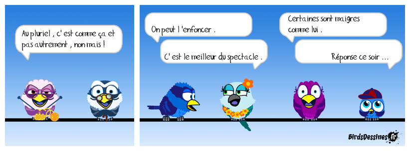 verbi jardin travaux bricolage 45