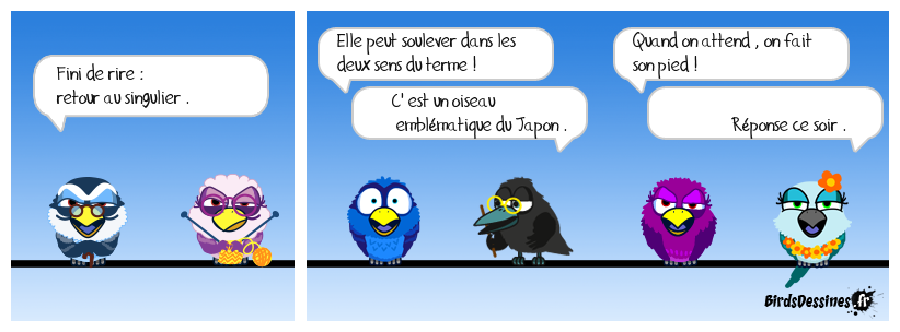 verbi jardin travaux bricolage 46