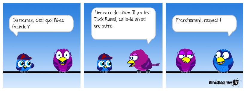 Pas de qui-proquo !!