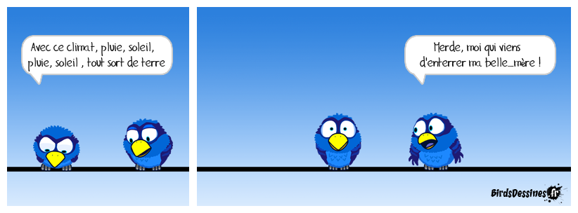 L'almanach des birds, pour totoharibo ( suite )