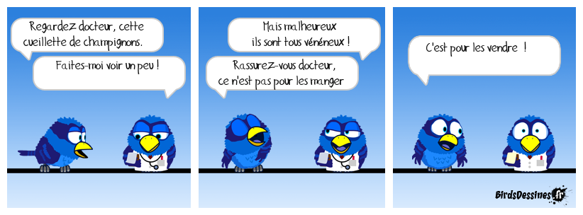 l'almanach des birds !