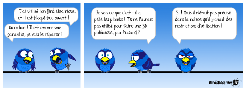 Le Bird inventeur (24)