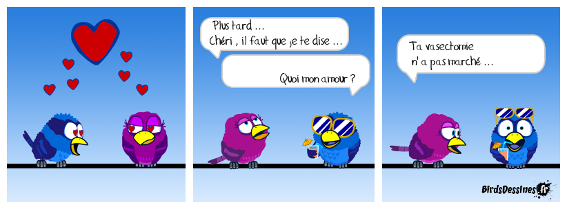 L'art des annonces ( 2 )