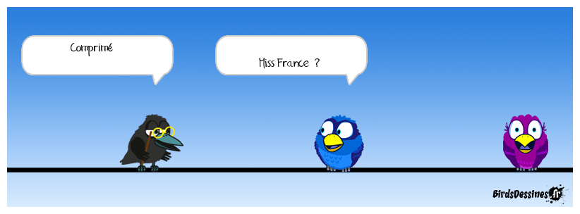 Définition Titounesque