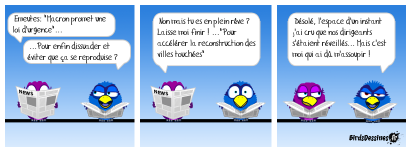 La loi d'urgence de notre président