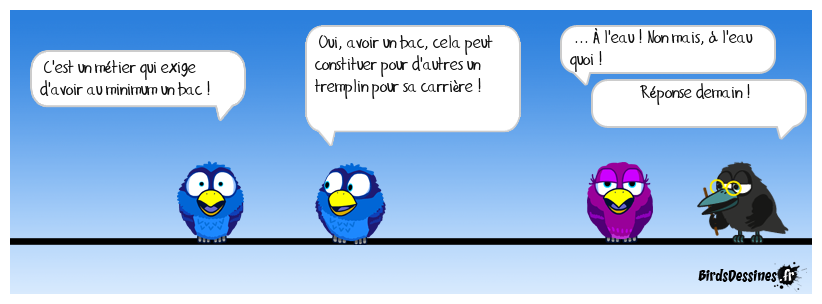 Verbi métier 76 quatro