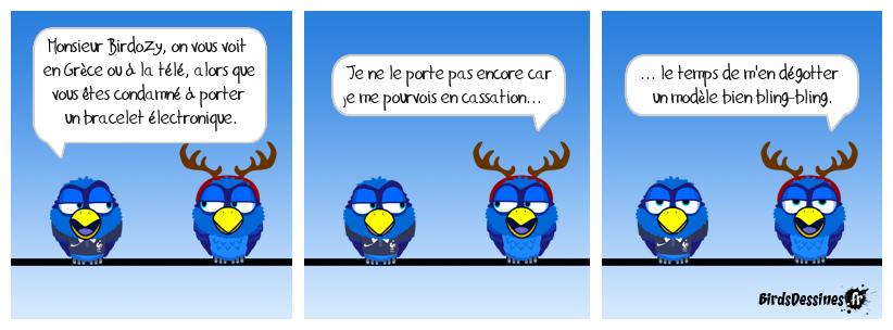Le Bird qui s'étale au Net