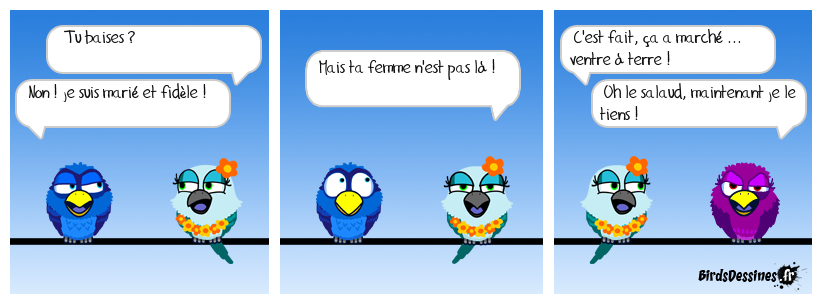 L'Il de la tentation !