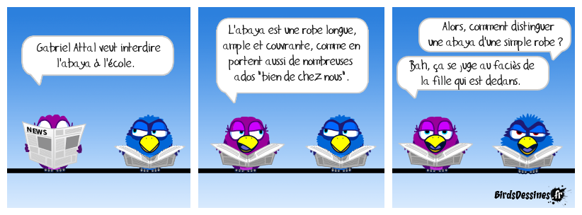 Mais il ferait la musulmane ? L'habit ne fait pas le moine