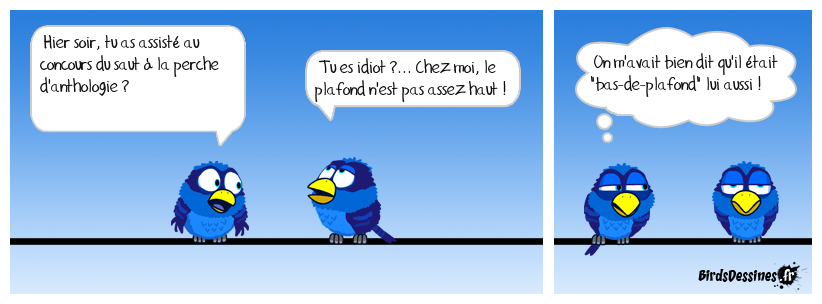 Armand Duplantis, il a régné au plafond ?