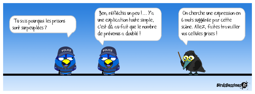 Verbidouillage n° 243 (expression française)