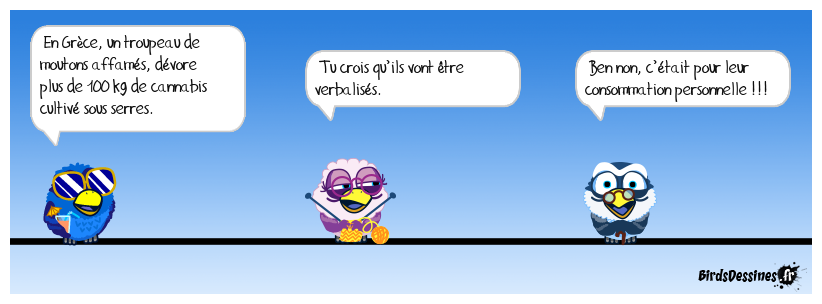 Ça plane dans la bergerie !