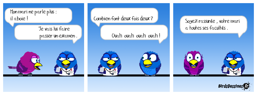 dans la série n'importe quoi ... (5)