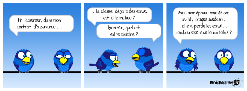 catastrophe naturelle !