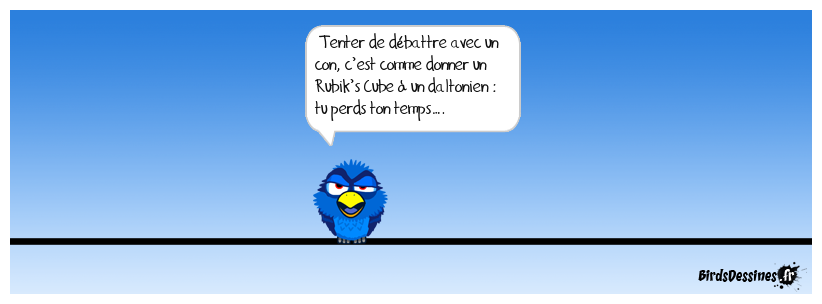 L’image est bonne !