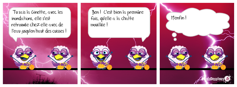 🤣 Les commères 🦵🌊