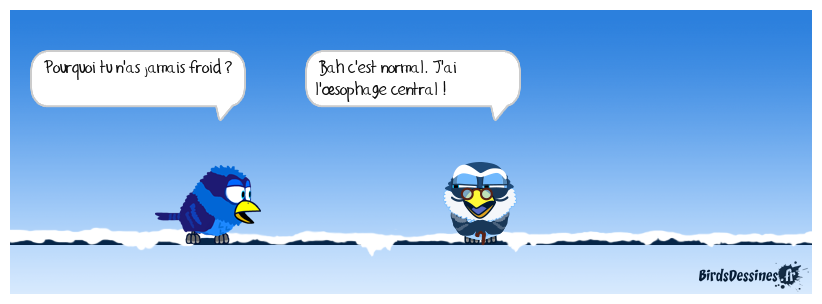 Jeu de mots nul du jour